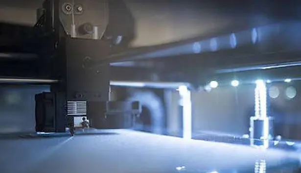 3D Pinting